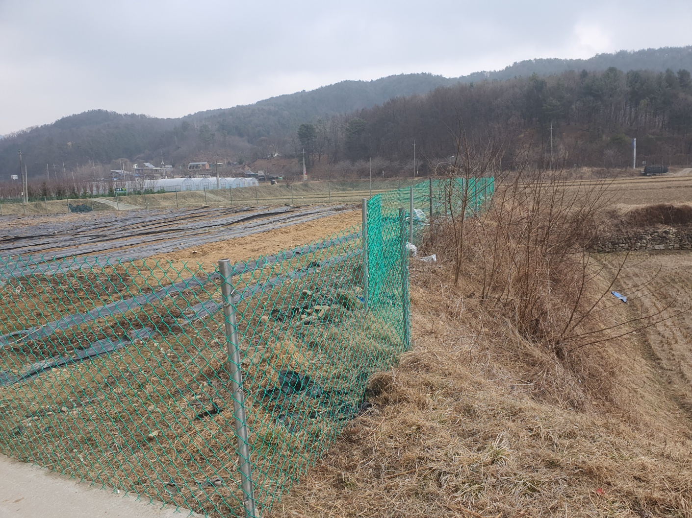 237593744_CJvOrlXm_2228bf910d8f9867bd576d028b67535aaf2b93a3.jpg 이미지크게보기