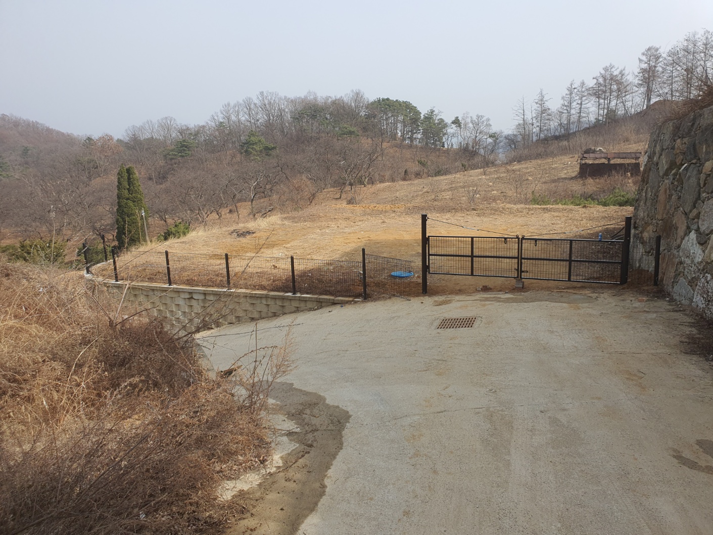 237593744_M2VaFw1L_fe49482e42998552d7cda75ea7399a9f8031a673.jpg 이미지크게보기