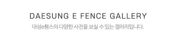대성e휀스_사진_제목